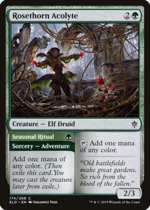 Rosethorn Acolyte // Seasonal Ritual - Foil<br /><span class="collector-number">Collector No. 174</span>