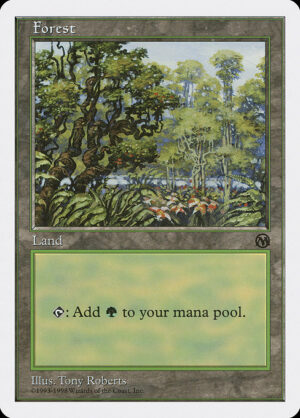 Forest<br /><span class="collector-number">Collector No. 84</span>