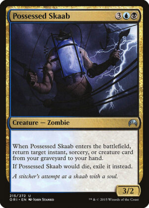 Possessed Skaab<br /><span class="collector-number">Collector No. 215</span>