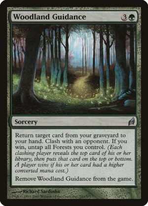Woodland Guidance<br /><span class="collector-number">Collector No. 243</span>