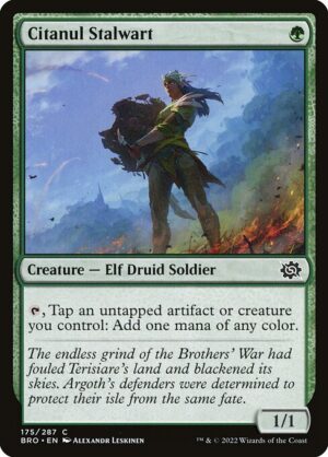 Citanul Stalwart<br /><span class="collector-number">Collector No. 175</span>