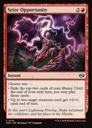 Seize Opportunity<br /><span class="collector-number">Collector No. 119</span>