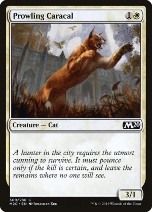 Prowling Caracal<br /><span class="collector-number">Collector No. 309</span>