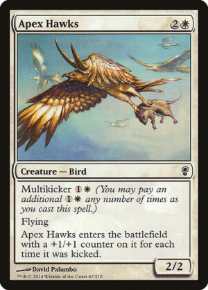 Apex Hawks<br /><span class="collector-number">Collector No. 67</span>