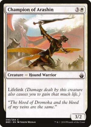 Champion of Arashin<br /><span class="collector-number">Collector No. 90</span>