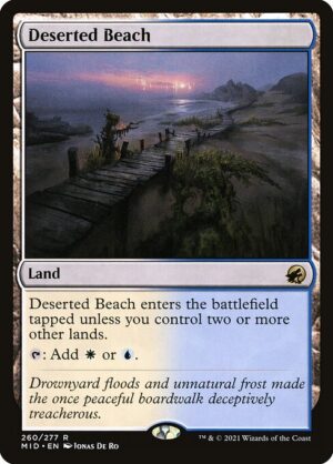 Deserted Beach<br /><span class="collector-number">Collector No. 260</span>