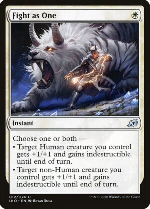 Fight as One<br /><span class="collector-number">Collector No. 12</span>