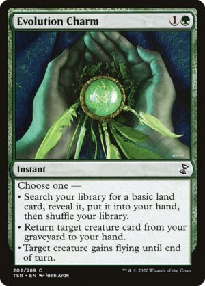 Evolution Charm<br /><span class="collector-number">Collector No. 202</span>