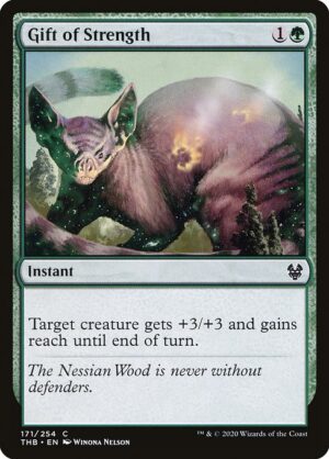 Gift of Strength<br /><span class="collector-number">Collector No. 171</span>