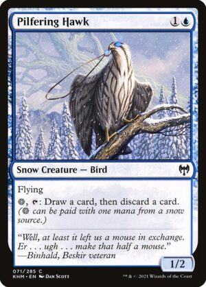 Pilfering Hawk<br /><span class="collector-number">Collector No. 71</span>