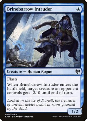Brinebarrow Intruder<br /><span class="collector-number">Collector No. 49</span>