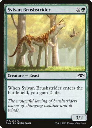 Sylvan Brushstrider<br /><span class="collector-number">Collector No. 144</span>