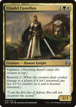Citadel Castellan<br /><span class="collector-number">Collector No. 213</span>
