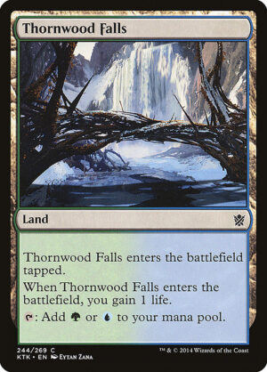 Thornwood Falls<br /><span class="collector-number">Collector No. 244</span>