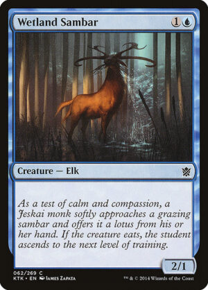 Wetland Sambar<br /><span class="collector-number">Collector No. 62</span>