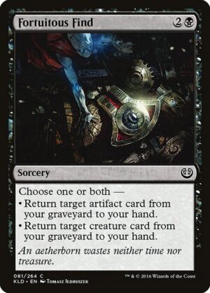 Fortuitous Find<br /><span class="collector-number">Collector No. 81</span>